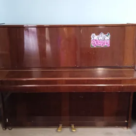 pianina