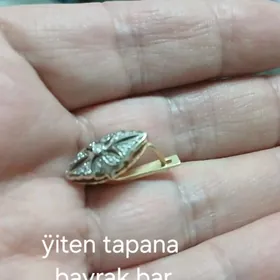 Gyzyl halka bir taýy ýitdi