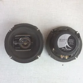 Pioner Nikil 300 Lik