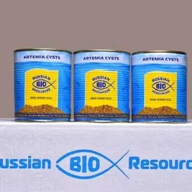 Артемия Цысты