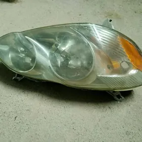 Fara Carolla 2003-2004_2005