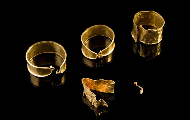 Из музея в Уэльсе украли золотые украшения бронзового века