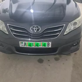 okuz kelle fara morda