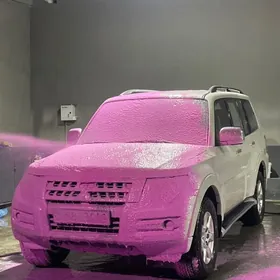 Mitsubishi Pajero 2019