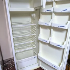 HOLODILNIK REGAL ARASSAJA