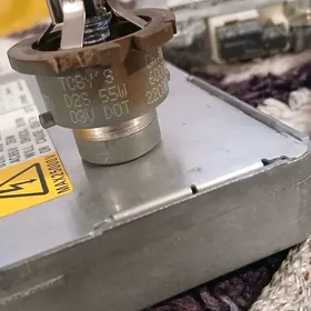 lexus es330 radnoy xenon