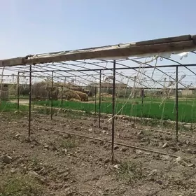 Parnyk ýyladyşhana