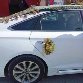 Gelnanjy maşynyñ şaý sepi