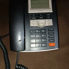 телефон Akita