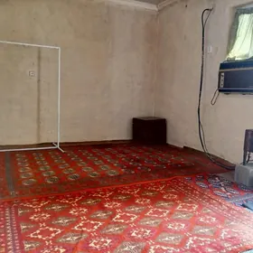 Kreýine jaý çoganly