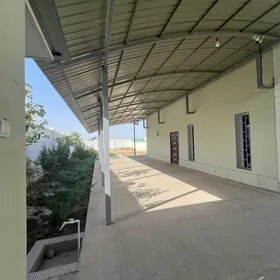 Gawers Taze Plan jay