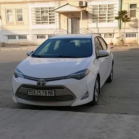 Toyota Corolla 2019