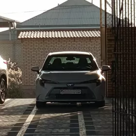Toyota Corolla 2021