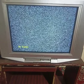 Telewizor tyuneri mugt