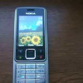 Nokia 6300