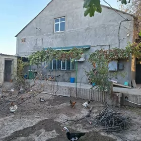 продаётся дом в Махтум кули