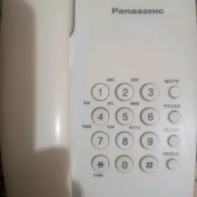 Panasonic