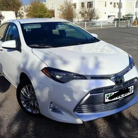 Toyota Corolla 2019