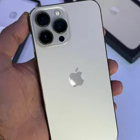 iPhone 13Pro Max 256gb