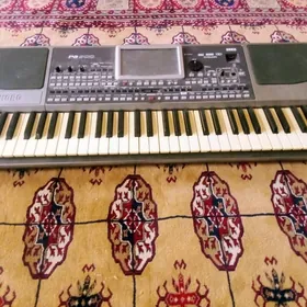 korga pa900