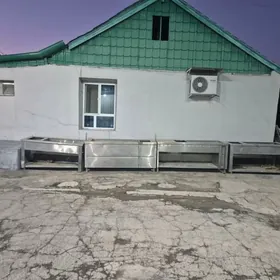 Nahary gyzgyn saklayan polka