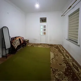 ARENDA MIR KÖÇE UÇASKA