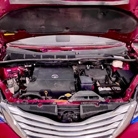 Highlander Sienna Karopka Mator