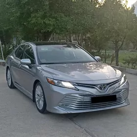 Toyota Camry 2019