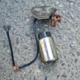 Carolla Benzanasosi Haliji