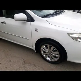 Carolla Vvtai satlyk znaçokler