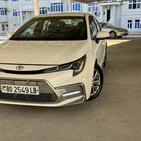 Toyota Corolla 2019