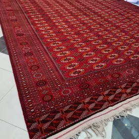 Gyzlarbat el haly 5/6