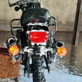 Fekon FK200-14G 2024