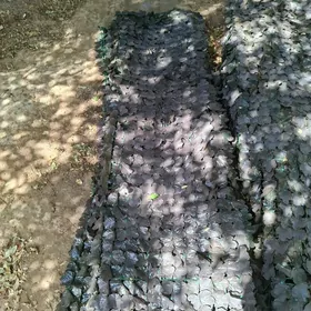 NAWESA DAKYLYAN YAPRAK