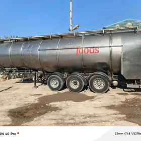 Prisep Polprisep 2025