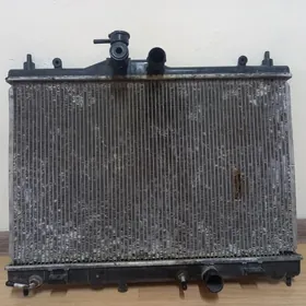 wersa radiator.2010. morda