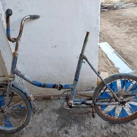 Tigir Welisoped welik KAMA