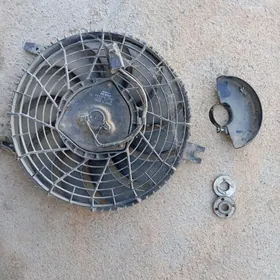 karolla Eliktronli lopus