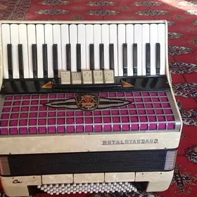 akardiýon raýalisdandart