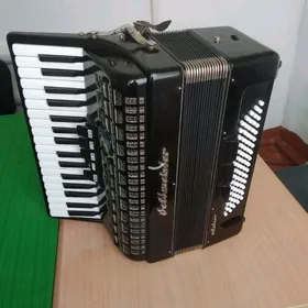 akkordeon weltmester