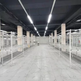 Tamizçi Уборщица gerek