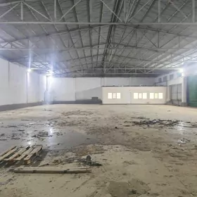 telekeçiler üçin ak tam sklat