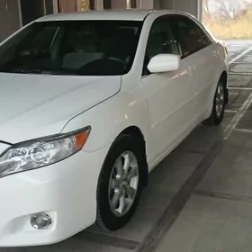Toyota Camry 2010