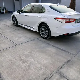 Toyota Camry 2019