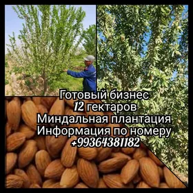 12 GEKTAR BABADURMAZ