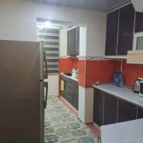 Buzmeyin Gress 3 kom