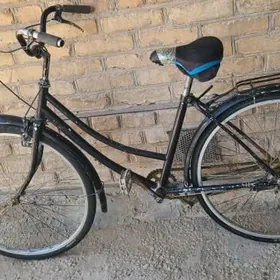 welsapet kama welik tigir