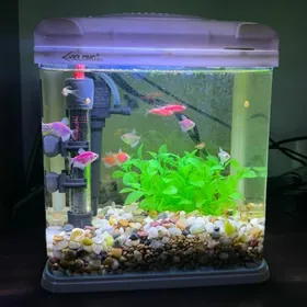Akwarium Аквариум