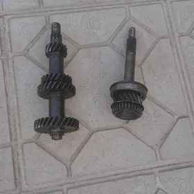 18 diş perewişni blok şestrnas