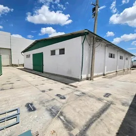 seh zawot önümçilik